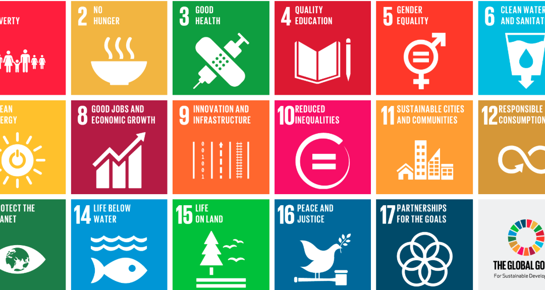 SUCCEEDING WITH THE SDGS CALLS FOR STRONG LEADERSHIP