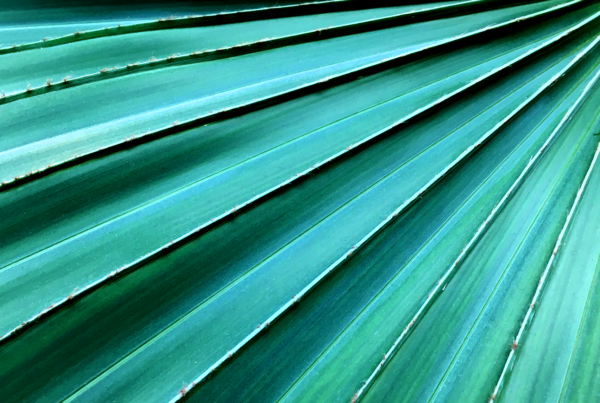 Putting plants into buildings