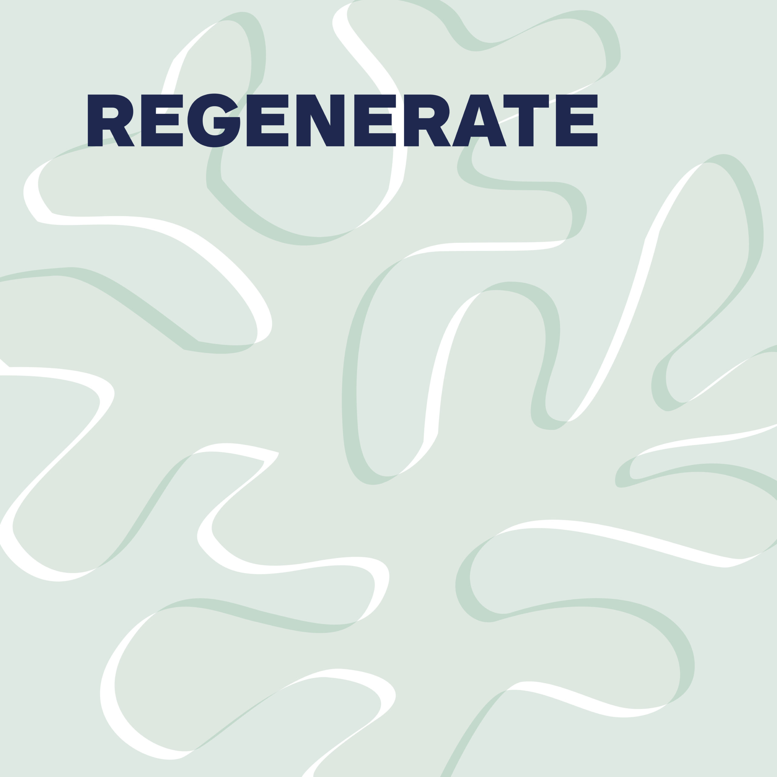 Regenerate: What the New Paradigm Means for Urban Development