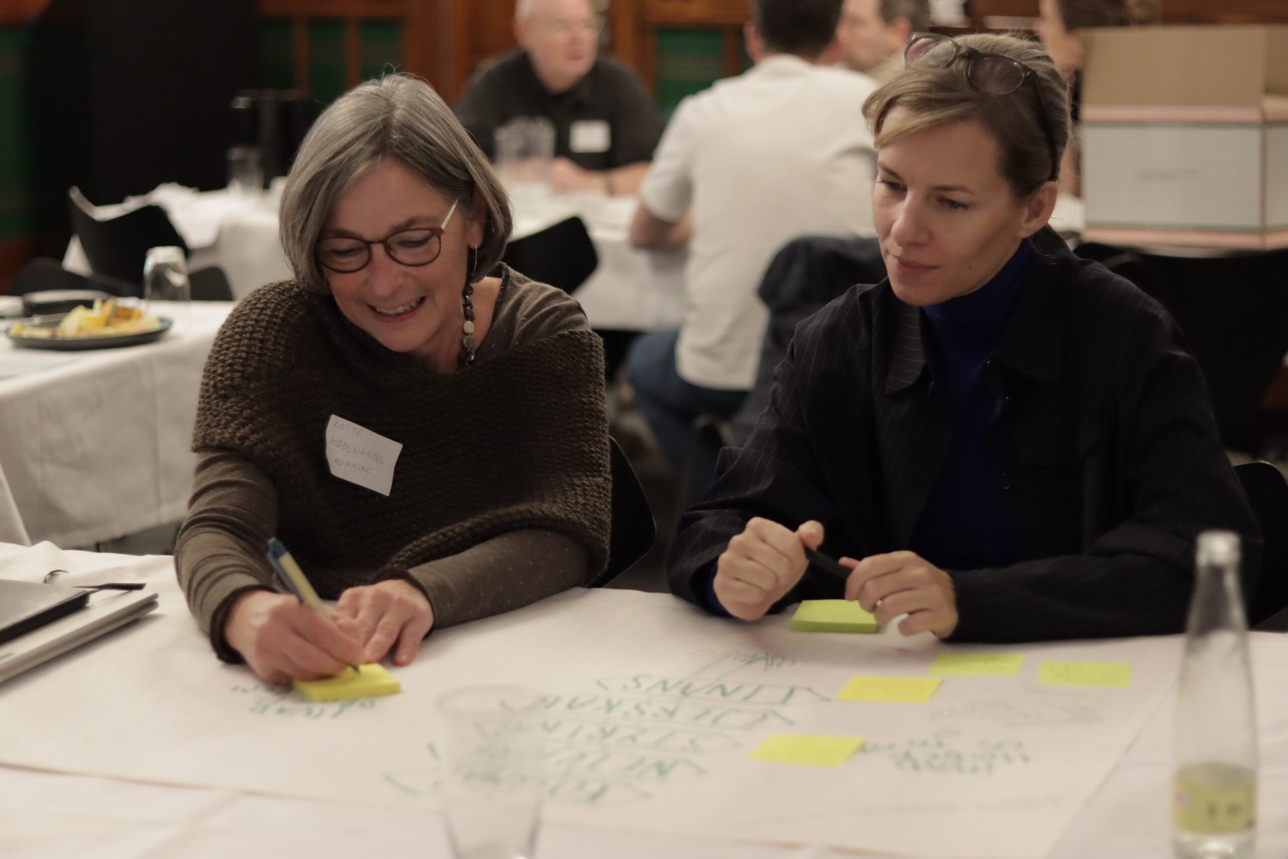 Collaborative Workshops: Crafting Copenhagen’s Climate Roadmap for 2035